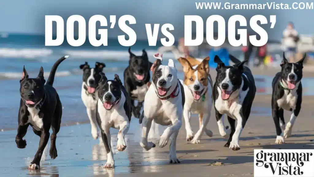 Dog's vs Dogs'