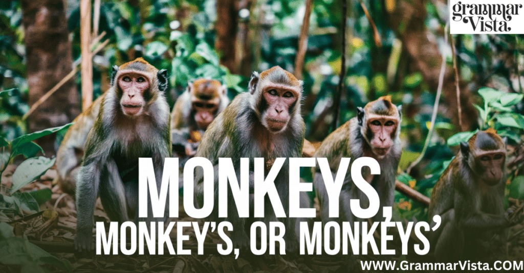 monkey's, monkeys', and monkeys?