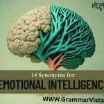 Emotional Intelligence synonym