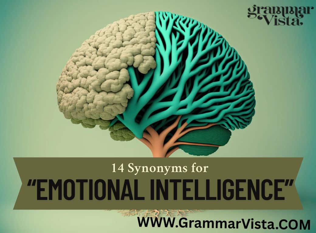 Emotional Intelligence synonym