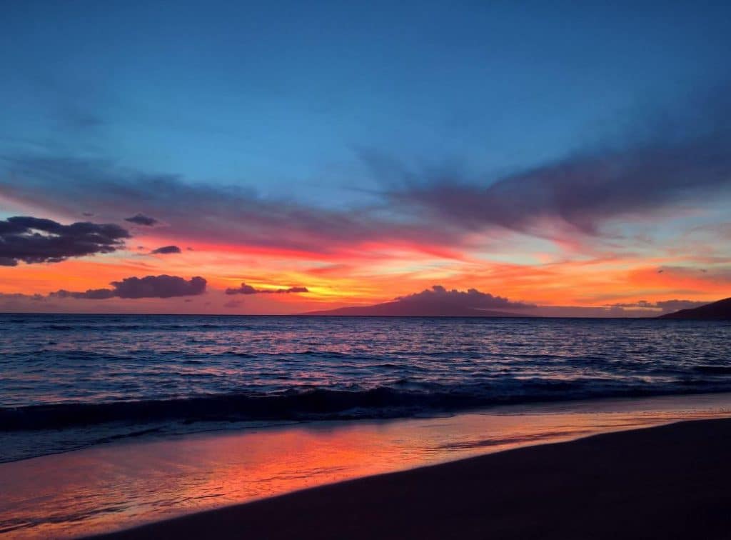 have a great evening