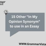 In My Opinion Synonym