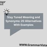 Other Ways to Say Point of Contact