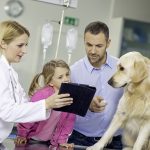 The Importance Of Client Education At Animal Hospitals