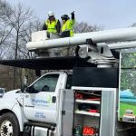 Pittsburgh Crane-Assisted Tree Work: The Complete Equipment, Safety, And Support Network