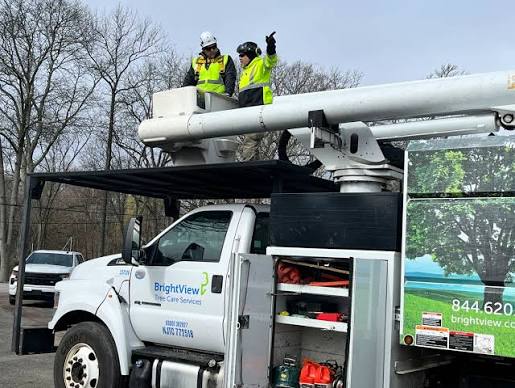 Pittsburgh Crane-Assisted Tree Work: The Complete Equipment, Safety, And Support Network